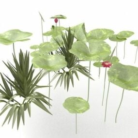 Lotus Flower Leaves 3d model
