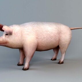 Low Poly Domestic Pig 3d-modell