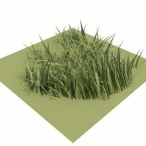 نموذج ثلاثي الأبعاد من العشب المنخفض