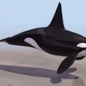 Mô hình 3d động vật cá voi sát thủ Low Poly