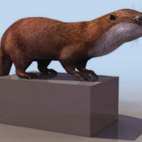 Otter 3d model