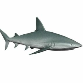 Mô hình 3d động vật cá mập Mako