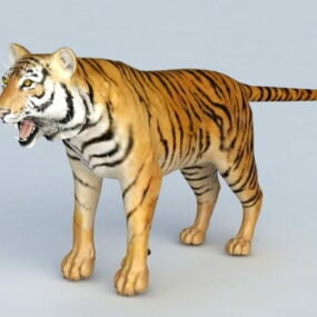Malaiischer Tiger 3D-Modell