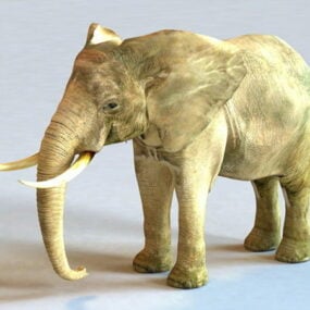 Modelo 3d de elefante africano masculino
