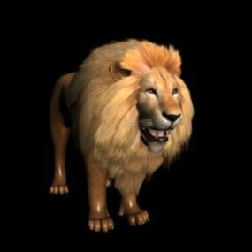 Modelo 3d do leão africano masculino