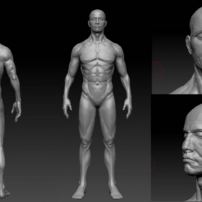 3D model mužského těla kalisteniky