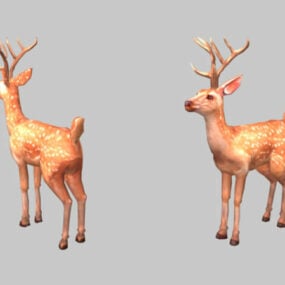 Αρσενικό Sika Deer τρισδιάστατο μοντέλο