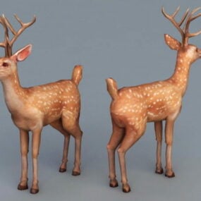 オスの斑点のある鹿 3D モデル