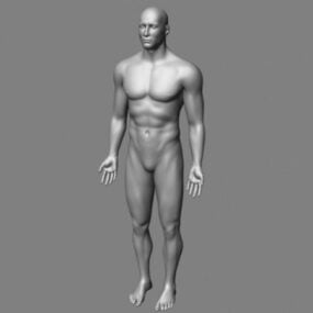 3D-Modell des männlichen Körperbasis-Mesh-Charakters