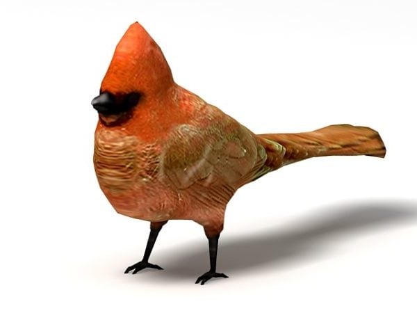 Macho salvaje cardenal pájaro gratis modelo 3d - .Max, .Vray - Open3dModel
