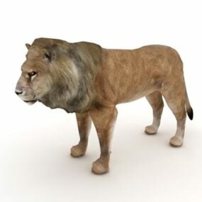 Modello 3d del personaggio dei cartoni animati di Simba Lion