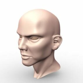 نموذج ثلاثي الأبعاد لرجل أصلع الرأس
