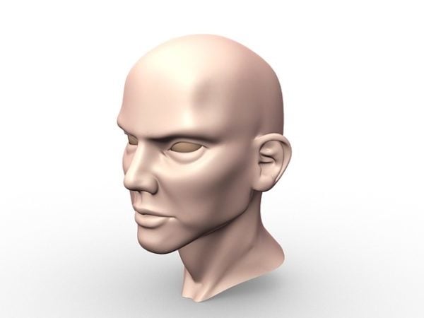 Man Bald Head