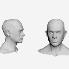 Personnage de maille de base de buste d'homme modèle 3D