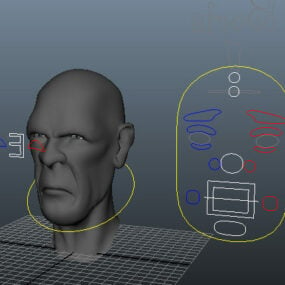 مدل سه بعدی Man Head Face Rig