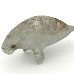 مدل سه بعدی حیوان گاو دریایی وحشی