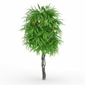 Mango Tree 3d-modell