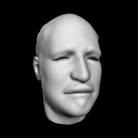Basic Man’s Head Character 3d model