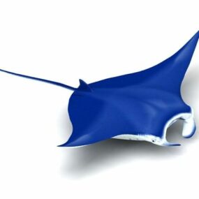 만타레이 바다 물고기 3d 모델