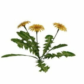 3д модель растения бархатцев