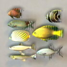 Collection de poissons marins