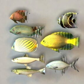 3D model kolekce mořských ryb