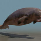 Θάλασσα θαλάσσιο θηλαστικό Dugong