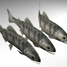 Masu Salmon Animal דגם תלת מימד