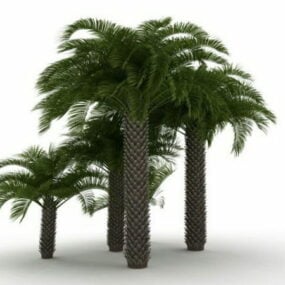 Plantas de palmeras de abanico mediterráneas modelo 3d