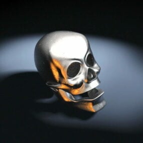 Crâne en métal modèle 3D
