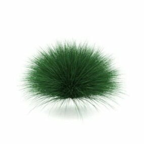 Múnla Feather Grass Mheicsiceo 3d saor in aisce