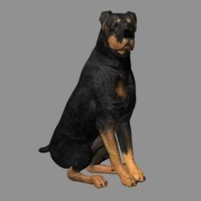 مدل سه بعدی سگ هزاره