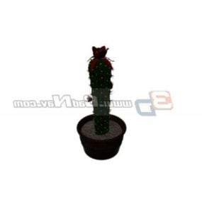 Arbre Mini Cactus modèle 3D