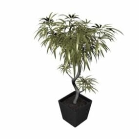 Miniascape Potted Tree 3d model