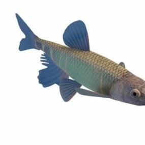 Minnow Freshwater Fish 3d-malli