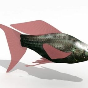바다 몰리 물고기 3d 모델