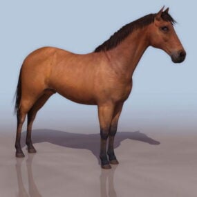 3д модель дикой моргановской лошади