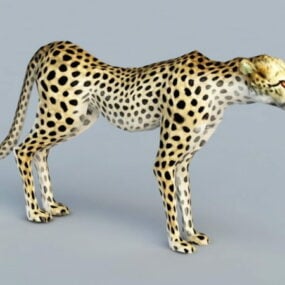 Mountain Leopard דגם תלת מימד