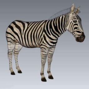 3д модель Дикая горная зебра