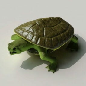 Turtle Fighter Character 3d-modell