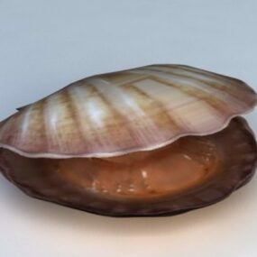 Mussel Shell 3d-modell