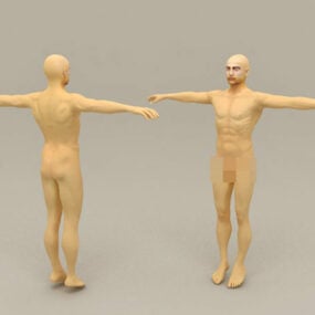 Naken Man Body 3d-modell