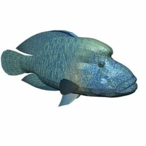 Modello 3d animale pesce Napoleone