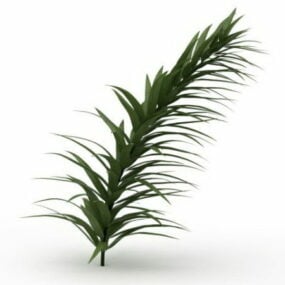 Narrow Leaf Plant 3d model