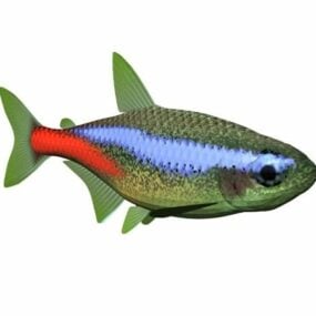 네온 테트라 물고기 동물 3d 모델