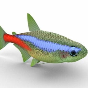 Neon Tetra Aquarium Fish 3d-modell