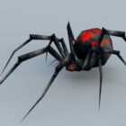 Нічний чорний вдова-павук