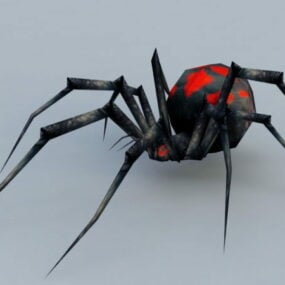 Night Black Widow Spider 3d μοντέλο