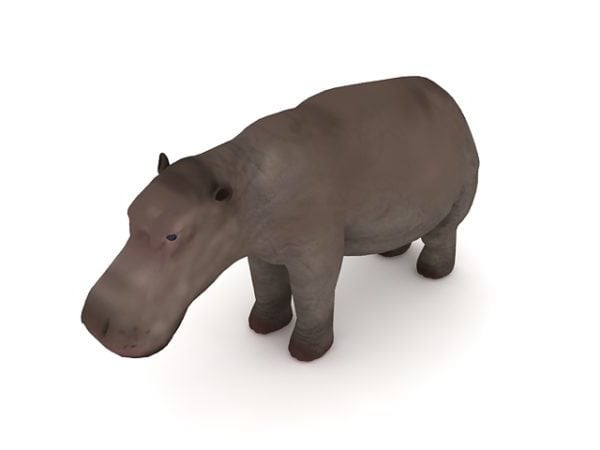 Nijl nijlpaard dier
