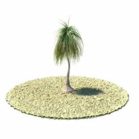 Nolina Recurvata 植物 3D モデル